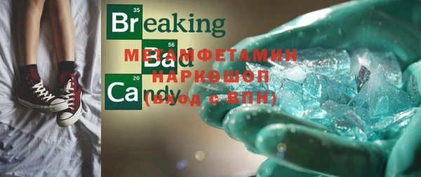 шишки Инсар