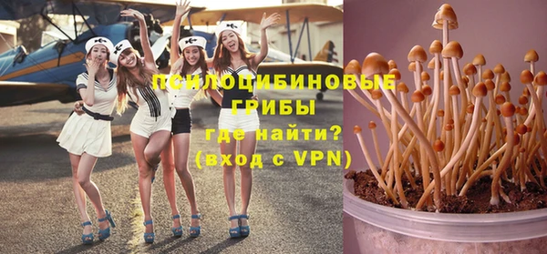 шишки Инсар