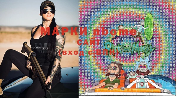 шишки Инсар