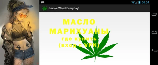 шишки Инсар