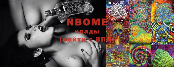 шишки Инсар