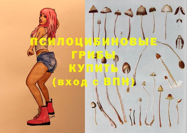 шишки Инсар