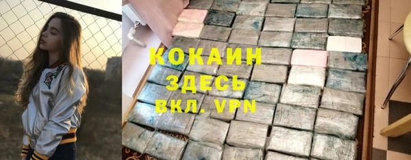 шишки Инсар