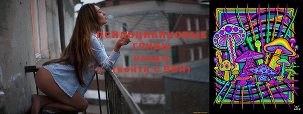 шишки Инсар