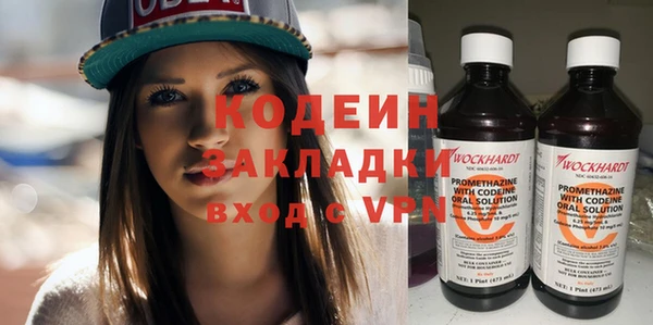 шишки Инсар