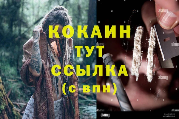 шишки Инсар