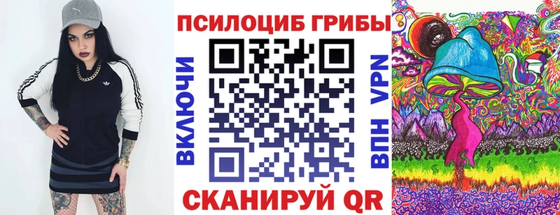 Купить закладки  Вуктыл  Псилоцибиновые грибы Psilocybe 